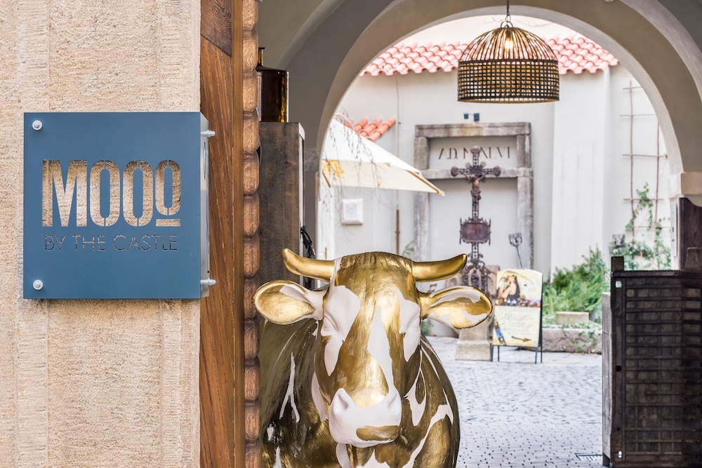 Mooo By The Castle 6/66