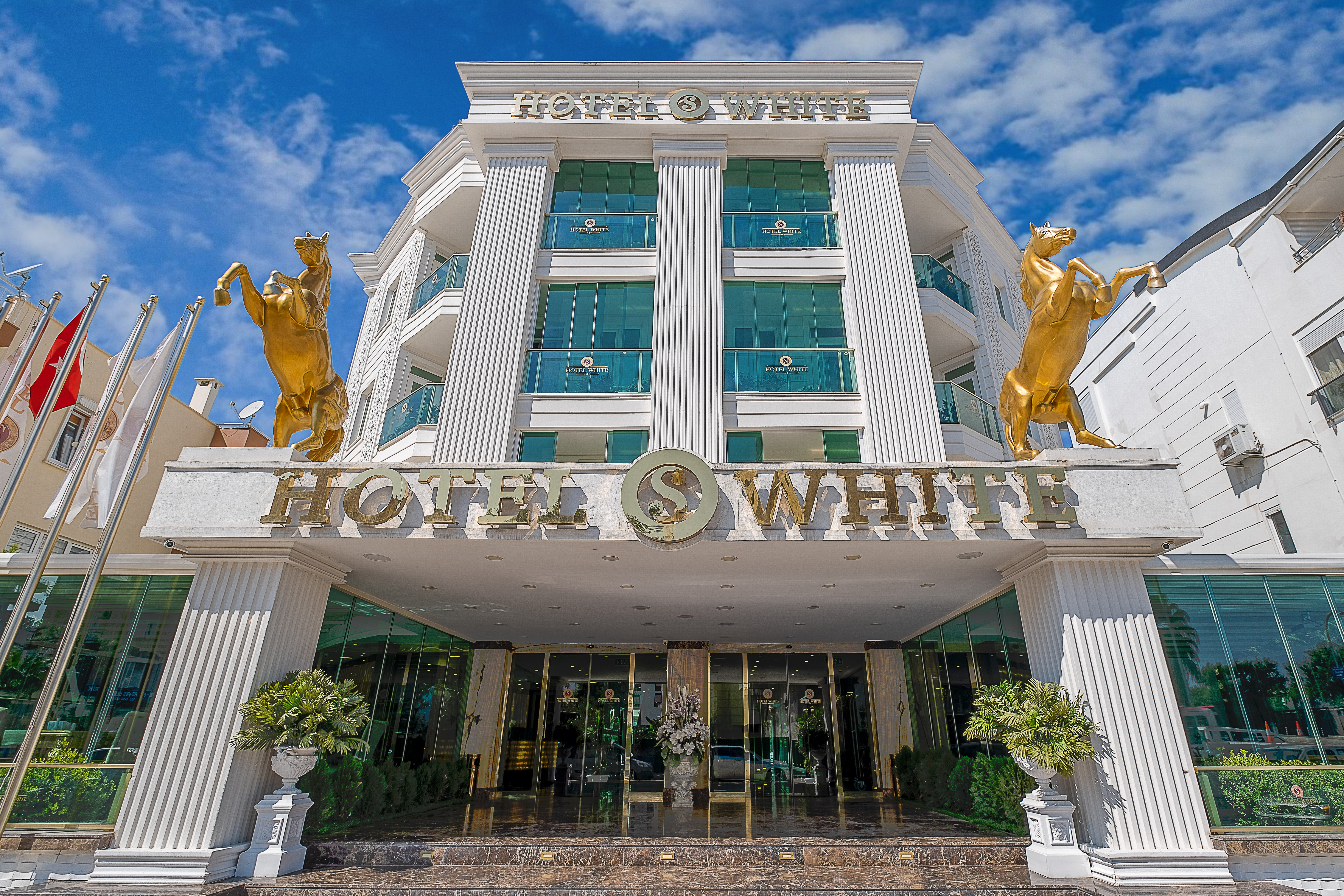 S White Hotel 5/67