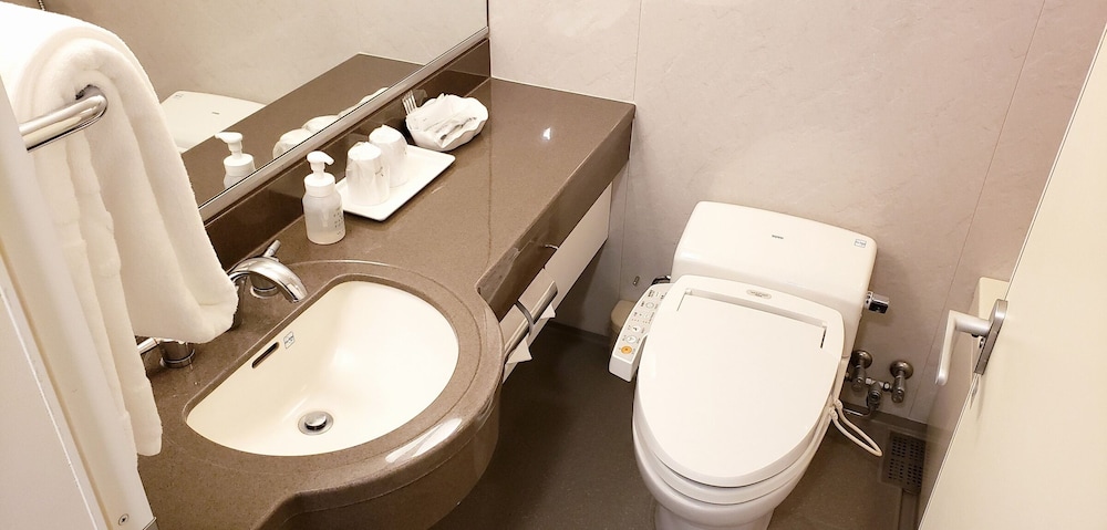 Mielparque Kumamoto Hotel 38/45