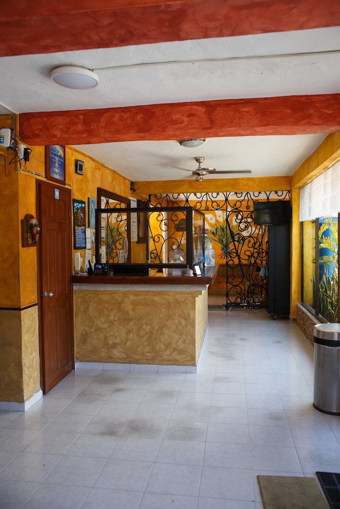 La Casona Real 8/50