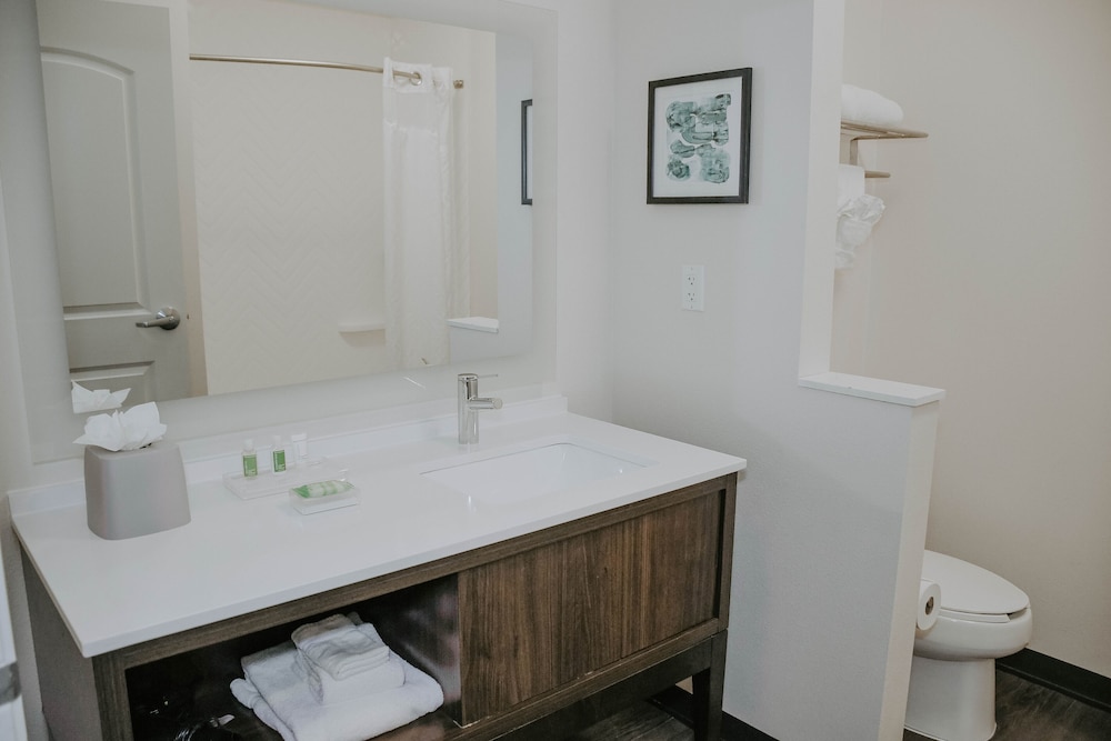 Holiday Inn Omaha Downtown-Airport 21/77