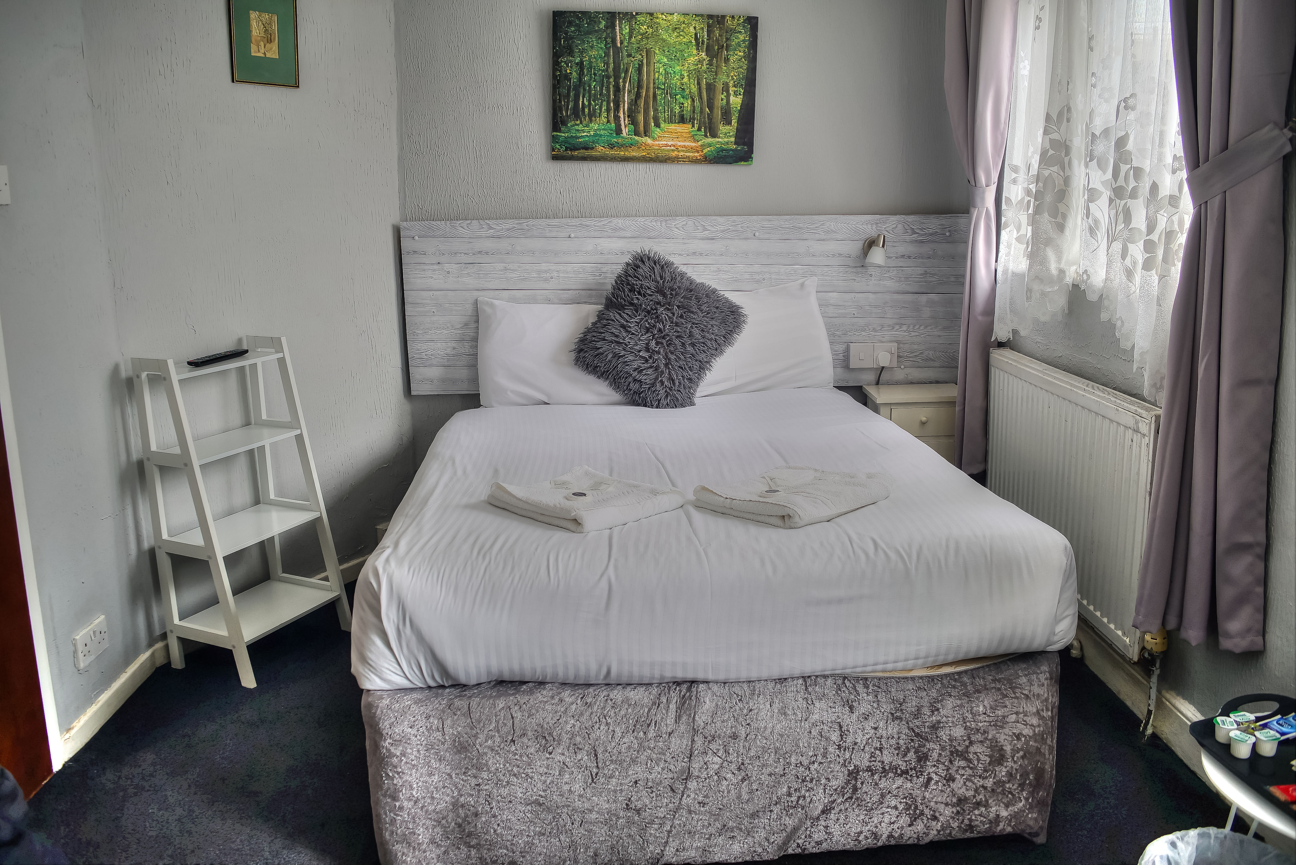Standard Quad Room