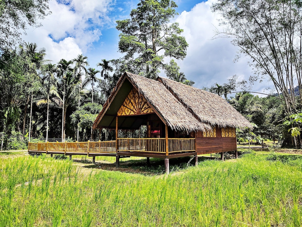 Our Jungle Camp - Eco Resort 14/75