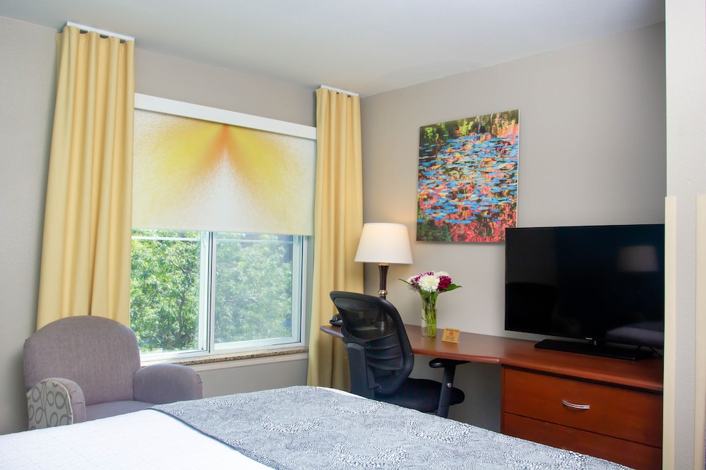 The Belltown Inn 22/62