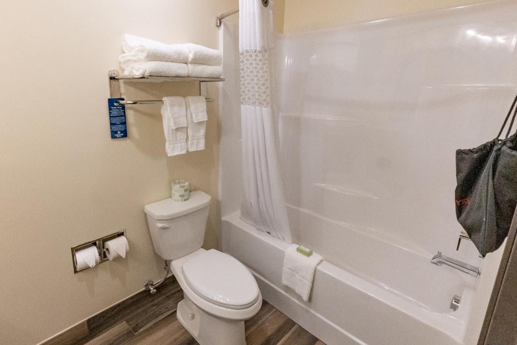 غرفة قياسية بسرير كينج، Cobblestone Hotel & Suites-Sheldon 2/3