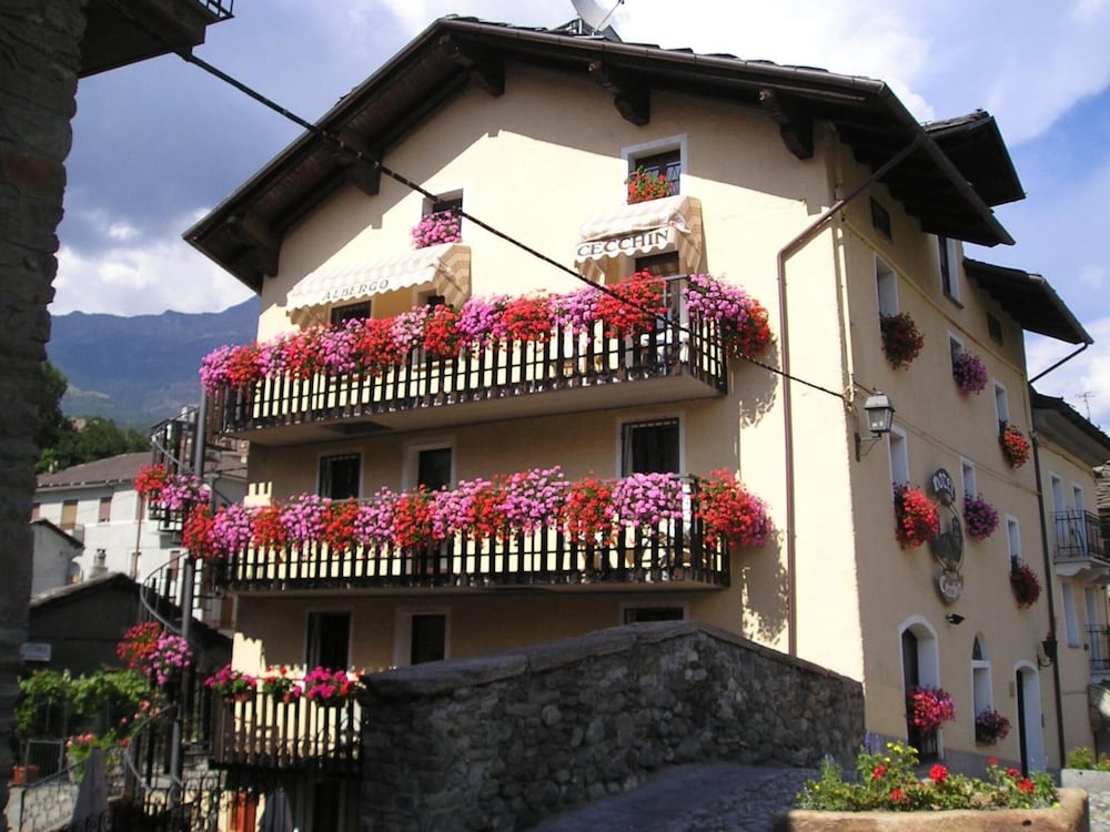 Hotel Cecchin 2/37