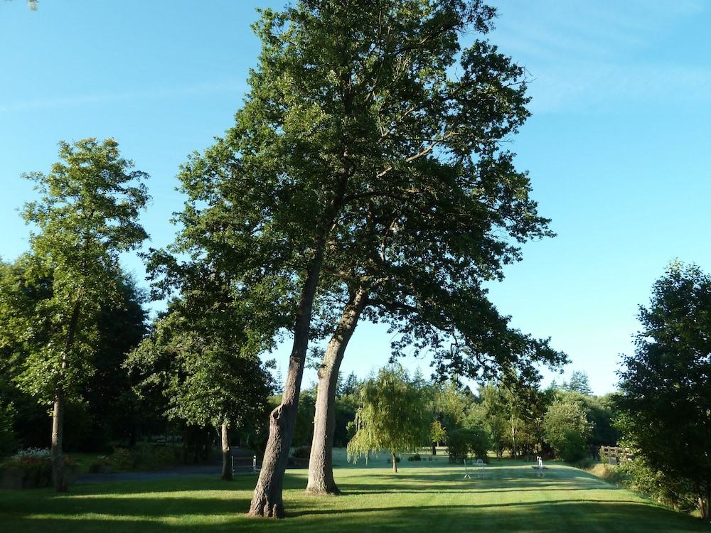 Domaine De La Tour 36/39