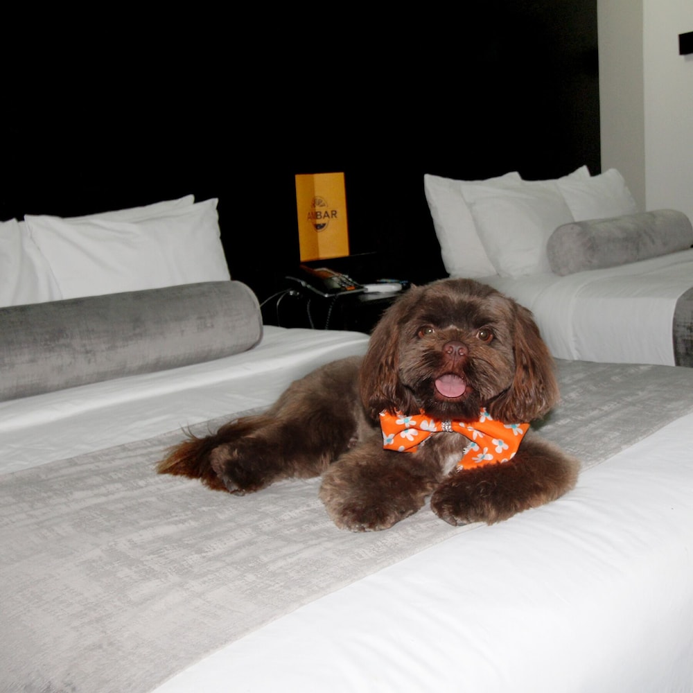 Stay Inn Hotels 24/39