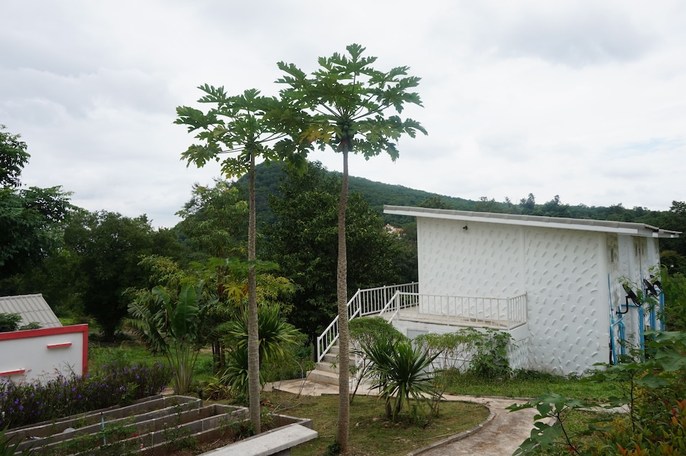Whiterock Resort Pakchong 14/48
