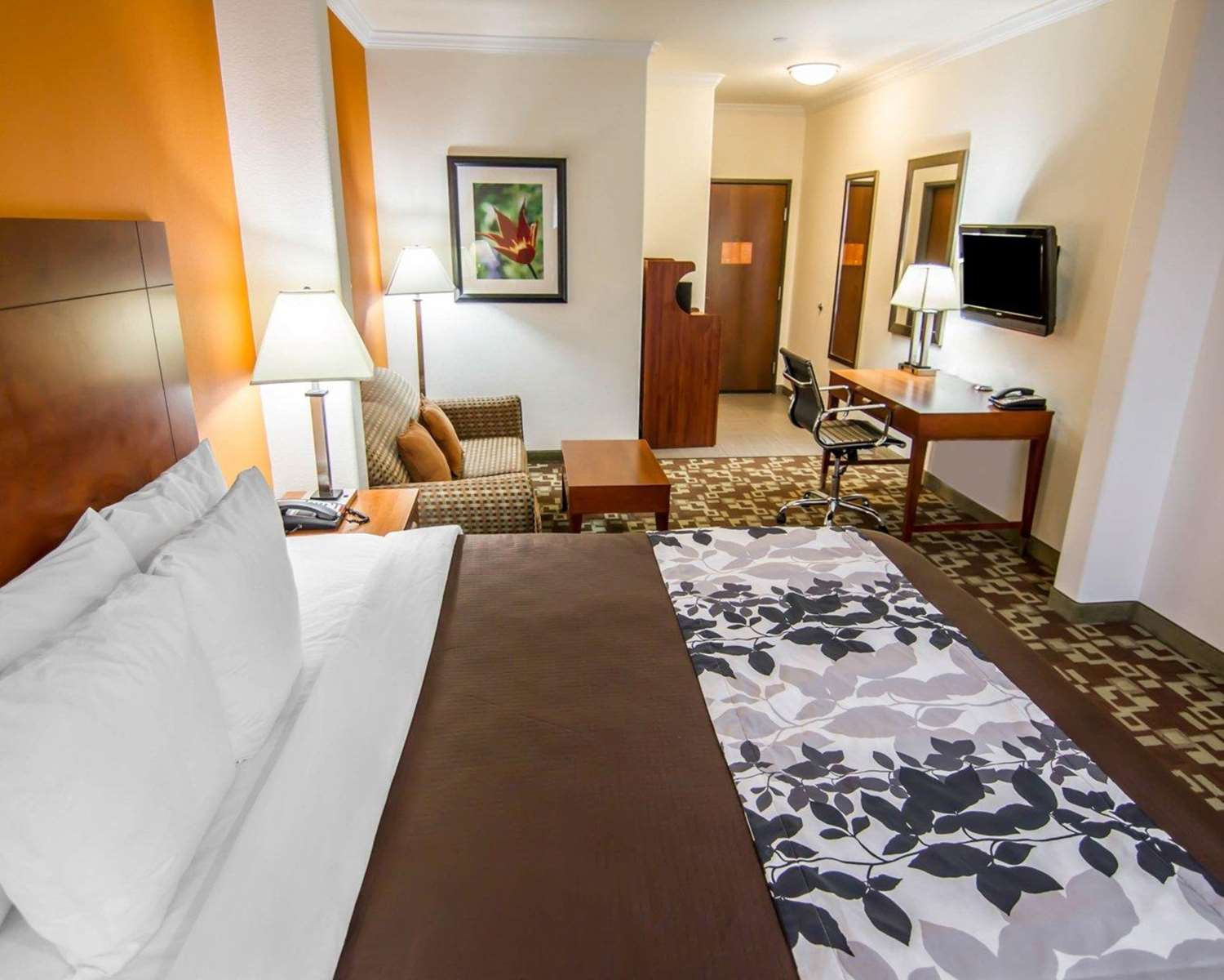 Suite, King Bed