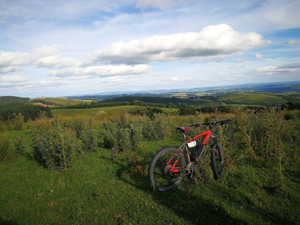 Lake Vyrnwy Hotel And Spa 15/33