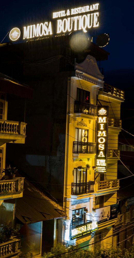 Sapa Mimosa酒店(Sapa Mimosa Hotel) 图片2