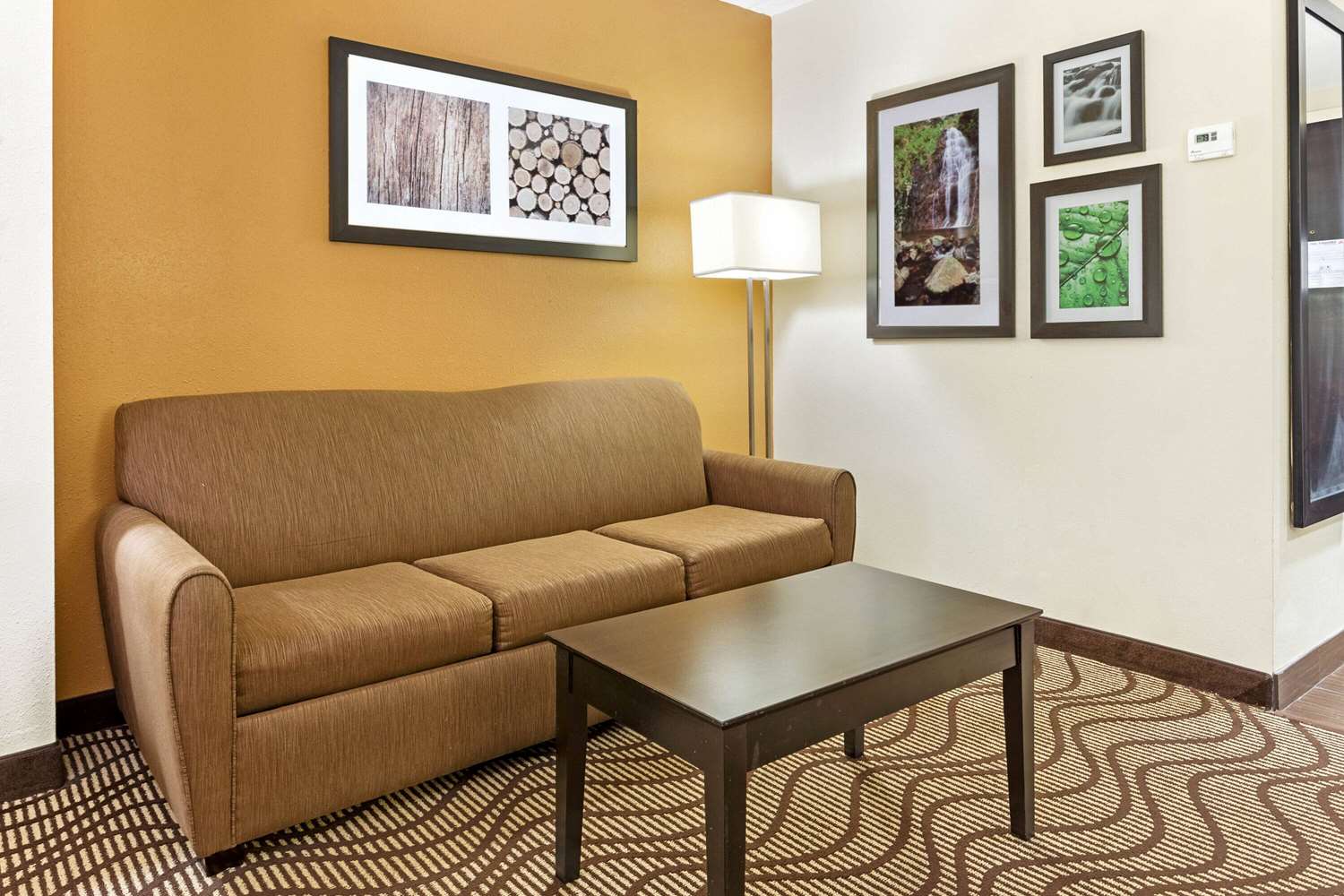 Comfort Inn & Suites Tampa North I-75 11/18