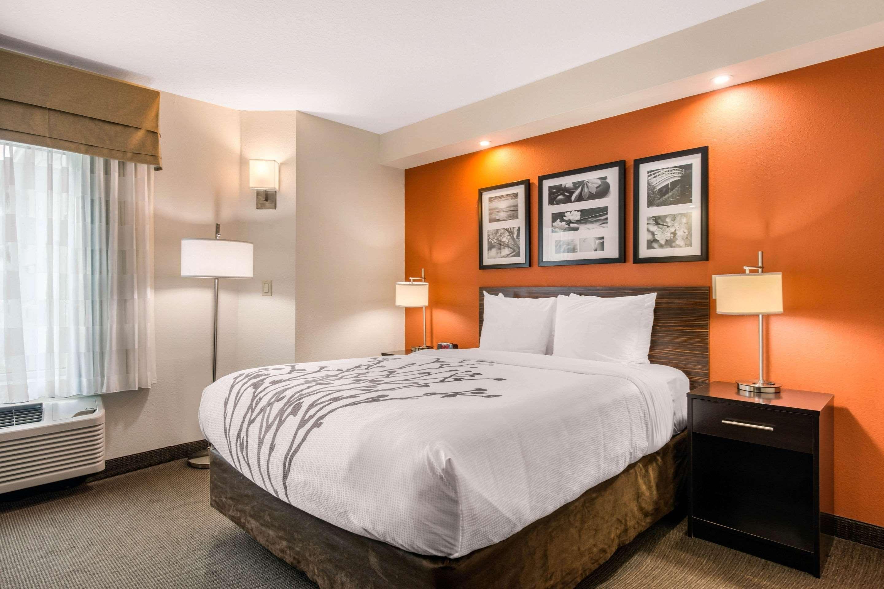 ROOM, KING BED