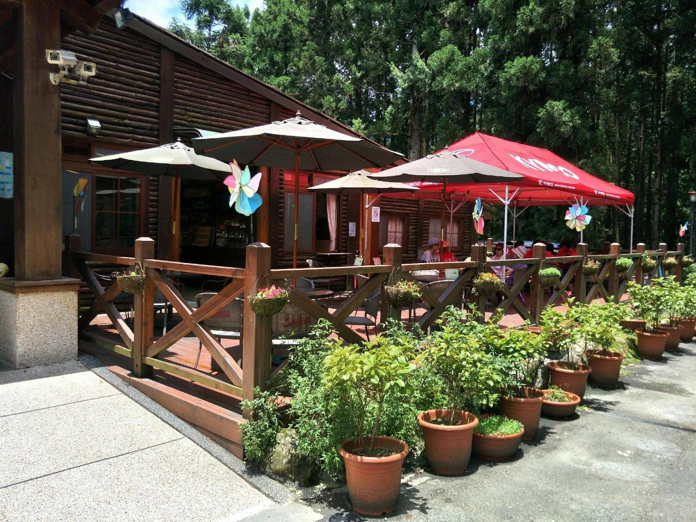 Xitou Youth Activity Center Hostel 34/36