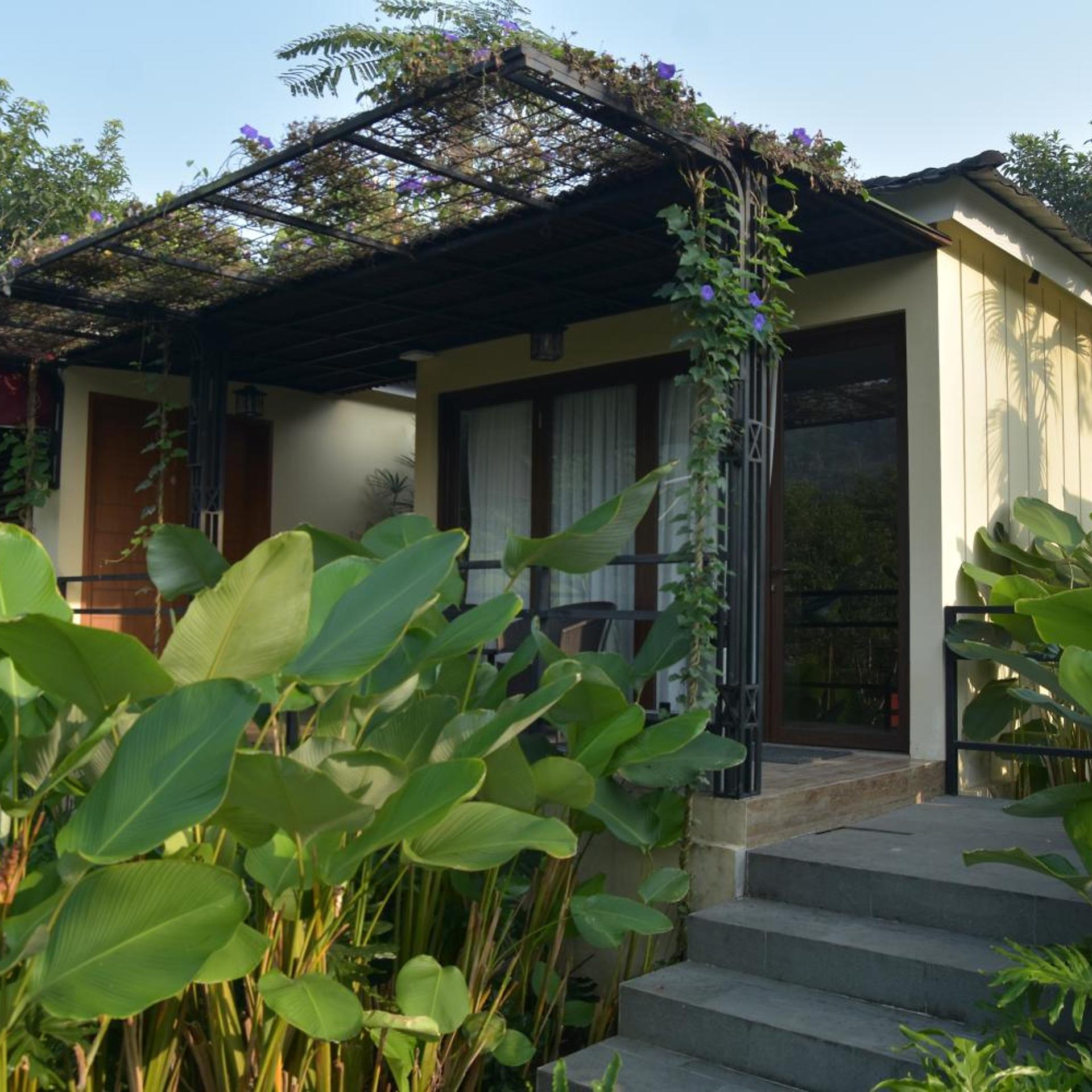 Sarga Earthing Resort 6/50