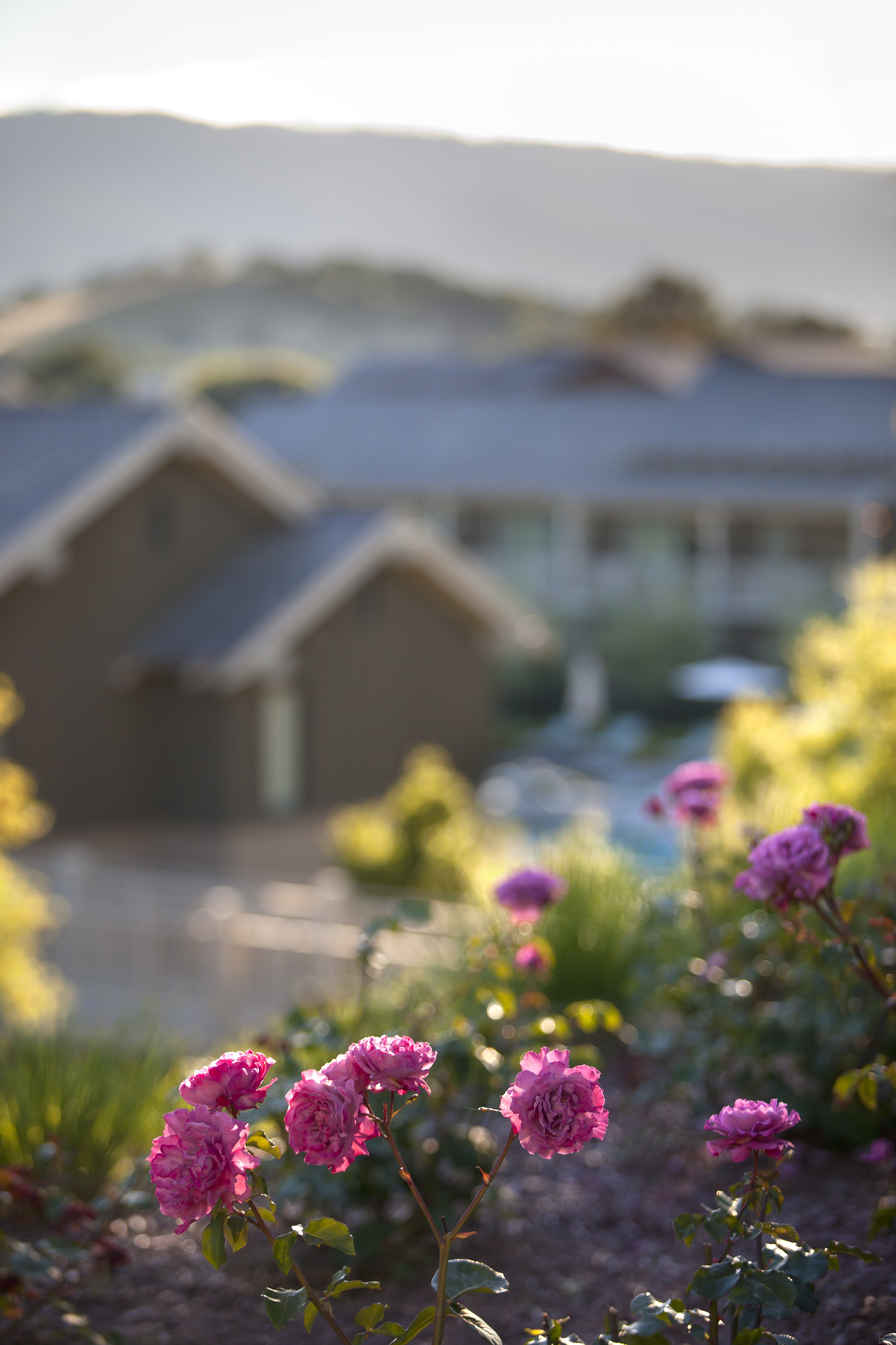 Rosewood Sand Hill in MENLO PARK - CA