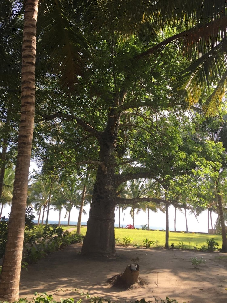 Oceanic Bay Hotel and Resort 30/43