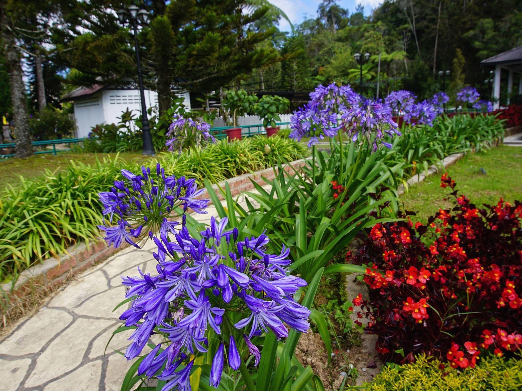 Khor’s Apartment @ Greenhill Resort 19/27