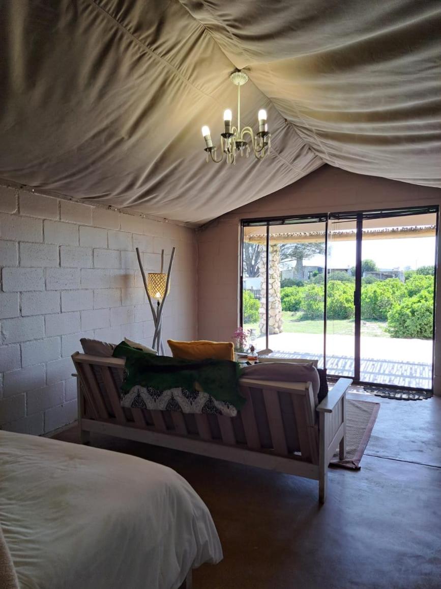 Thali Thali Game Lodge 5/50