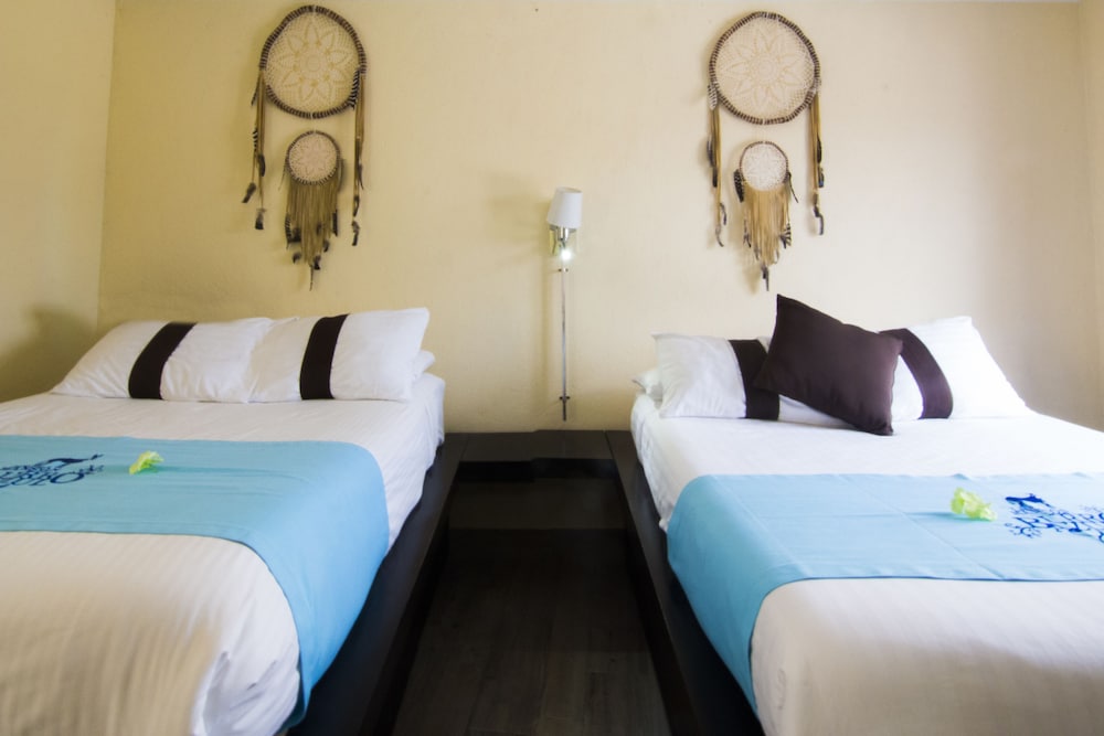 Hotel & Spa Mansion Del Burro Azul 15/50