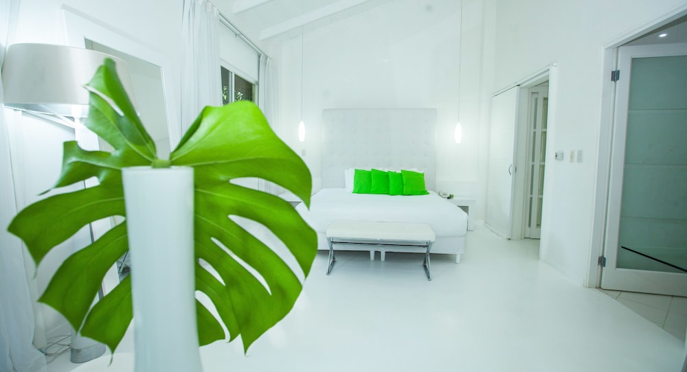Le Cameleon Hotel 30/65