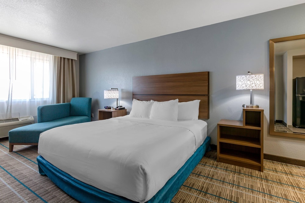 Efficiency, King Bed, Accessible