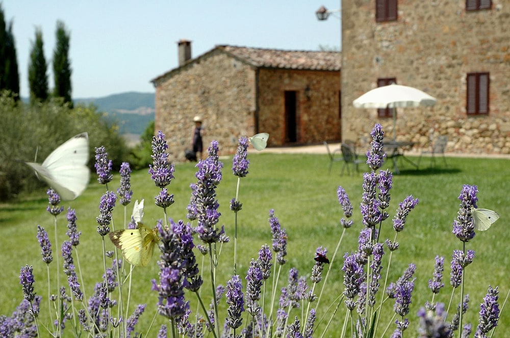 Fattoria Casabianca 39/50
