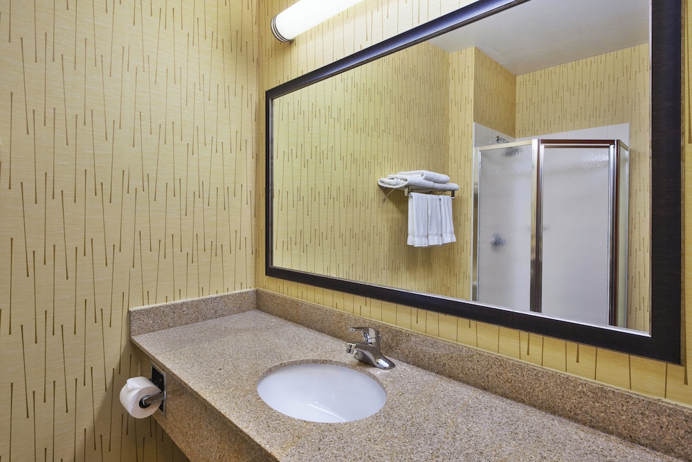 Holiday Inn Express & Suites Belleville (Airport Area) 49/50