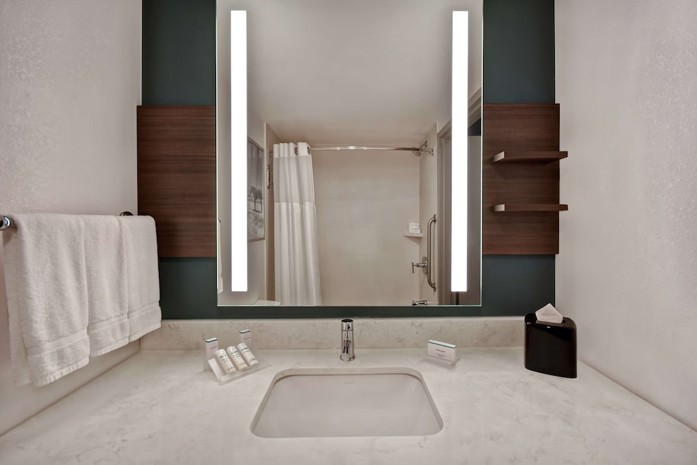 Hilton Garden Inn Houston/Galleria Area 55/58