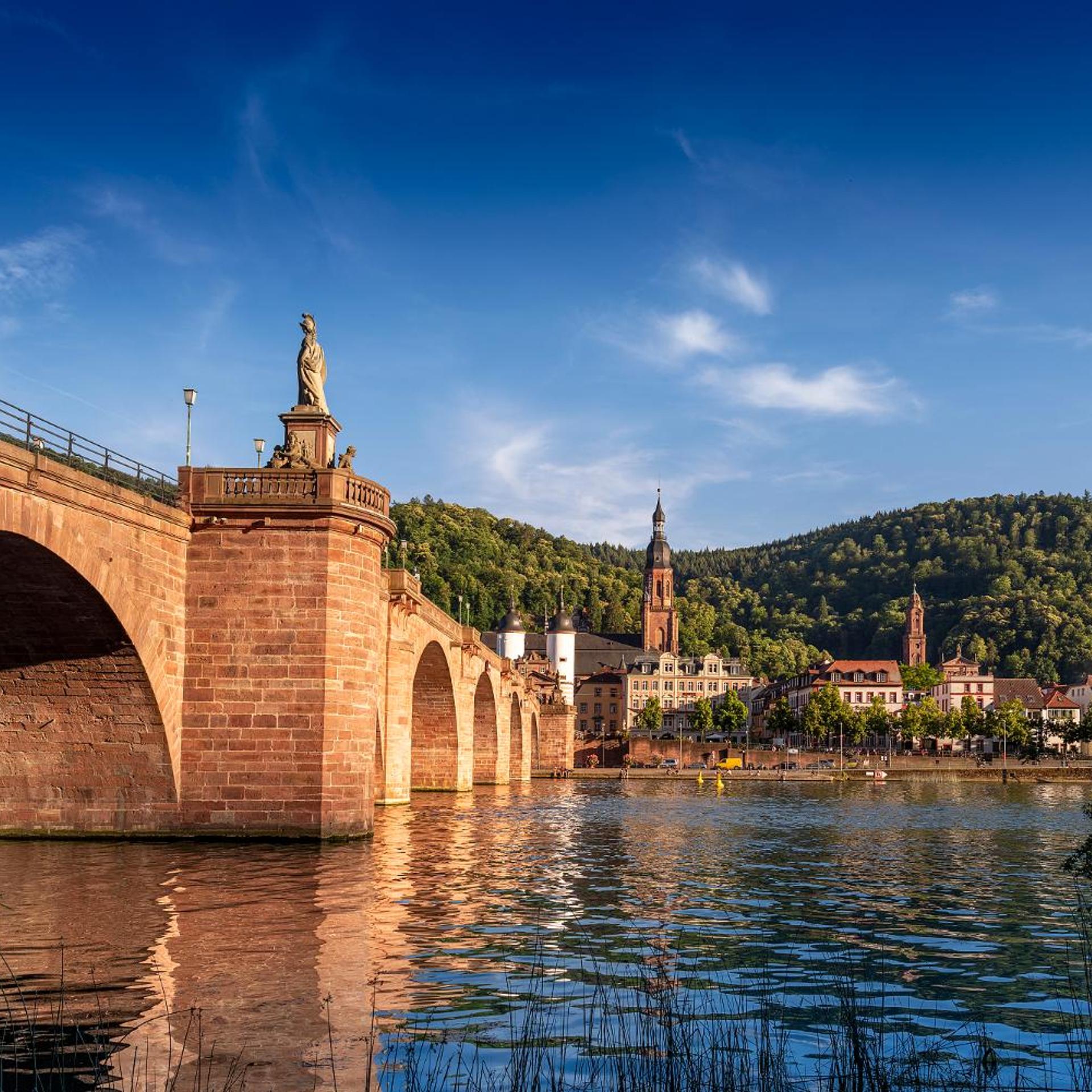 Hotel Panorama Heidelberg 39/45