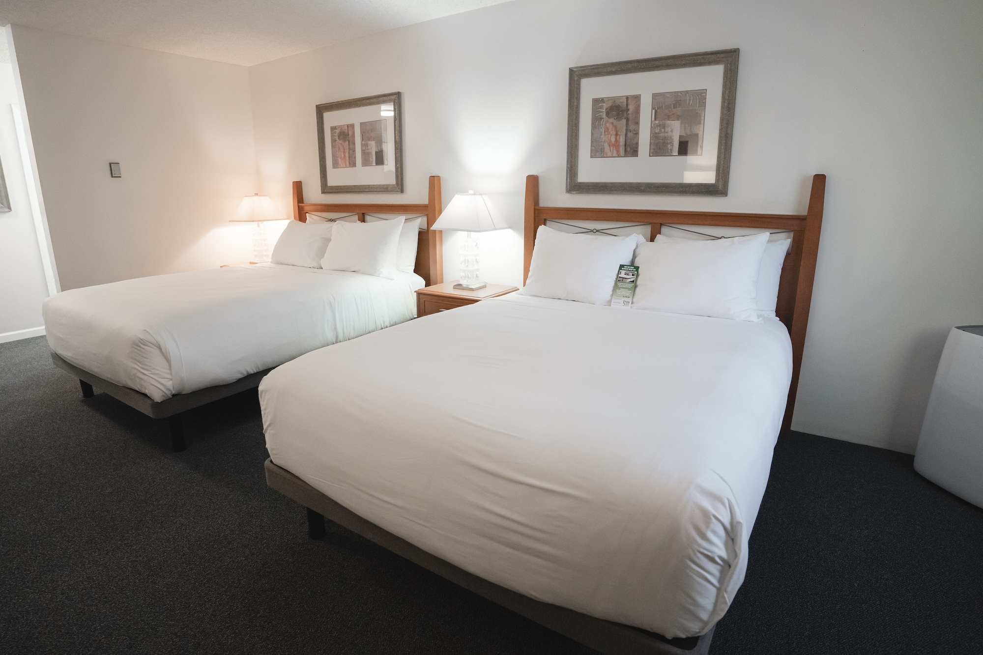 SUPERIOR, STUDIO, 2 QUEEN BEDS