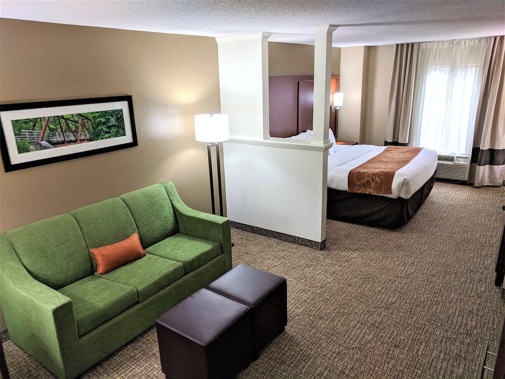 Comfort Suites Abingdon 23/40