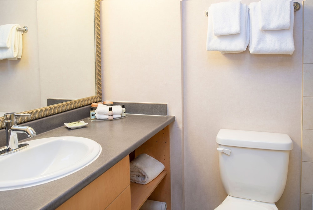 Sandman Suites Vancouver Davie Street 17/43