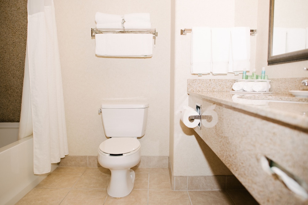 Holiday Inn Express and Suites Custer 22/59