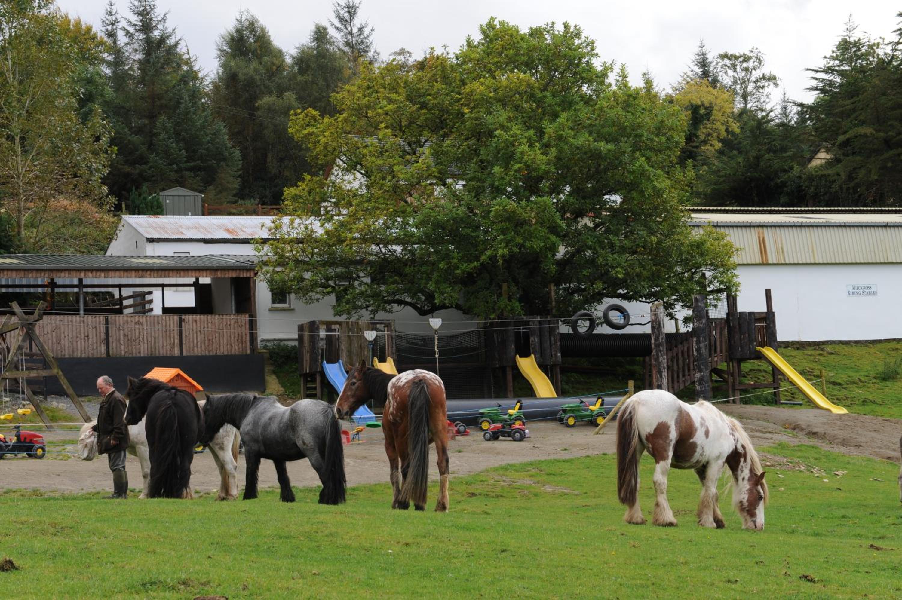 Muckross Riding Stables 12/17
