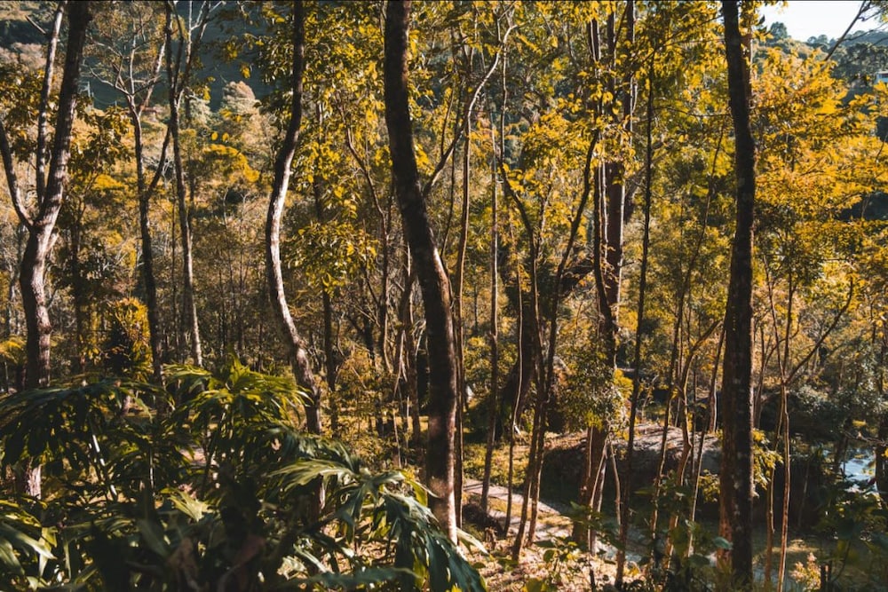 Pousada Solar d'Araucaria 71/74