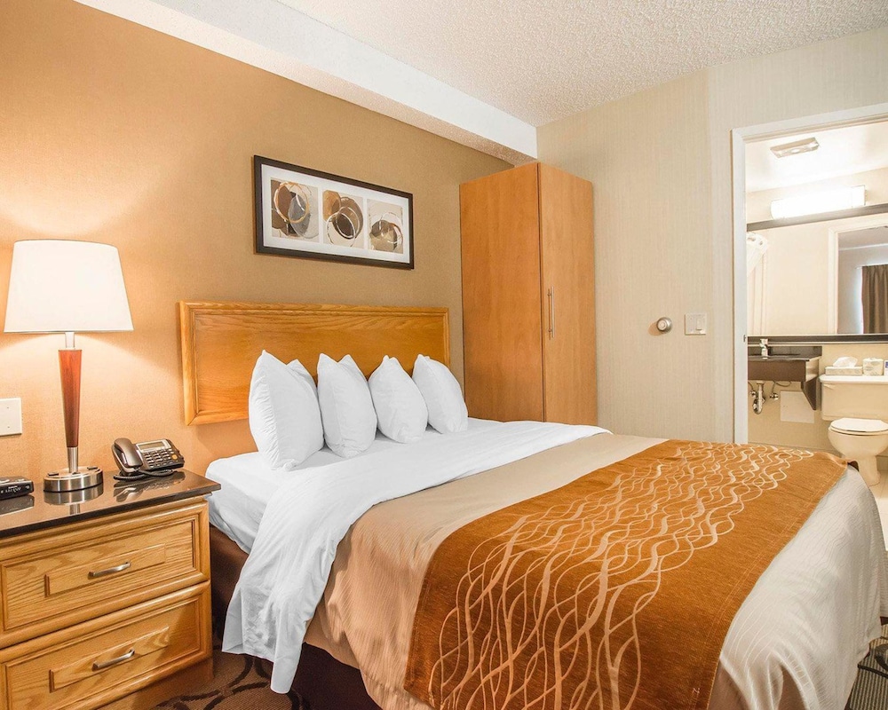 Comfort Inn Rimouski 10/38