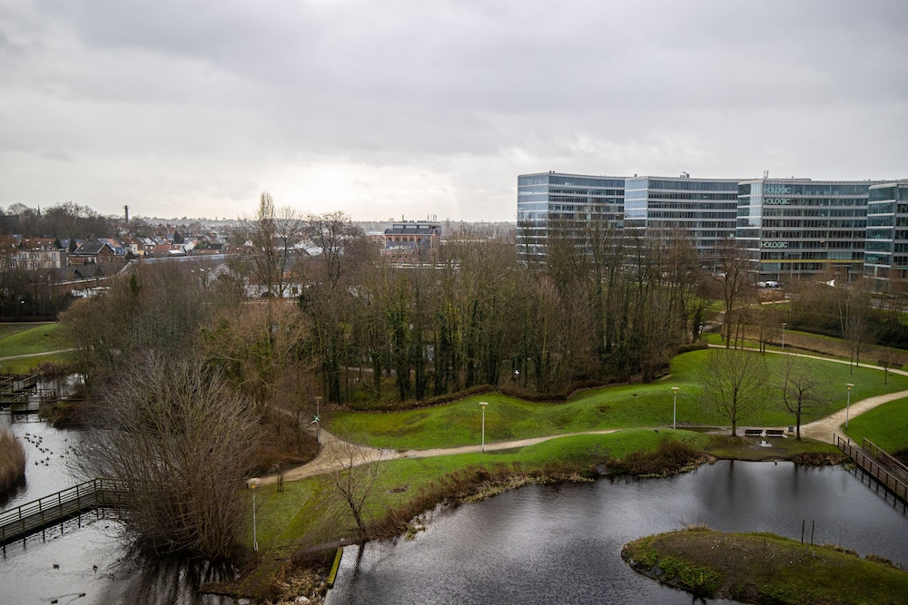 surroundings