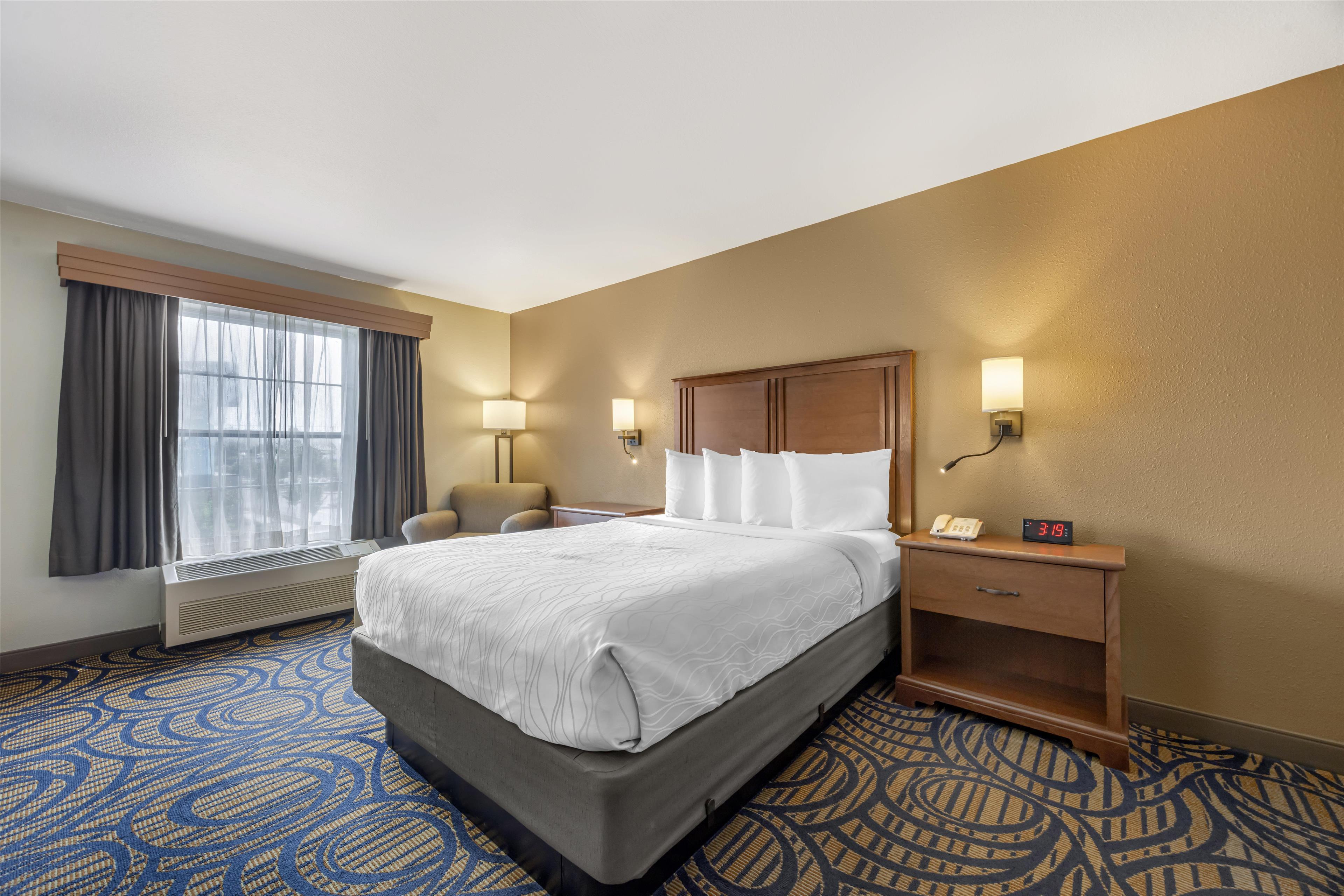 Room, Queen Bed
