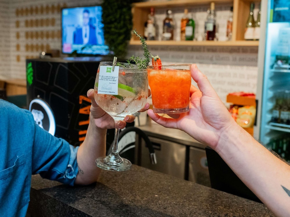 Ibis Styles Pocos de Caldas 19/49