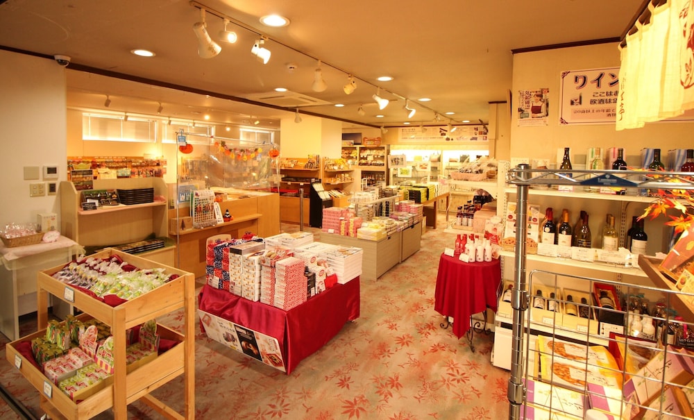 HOTEL HATTA YAMANASHI 36/49