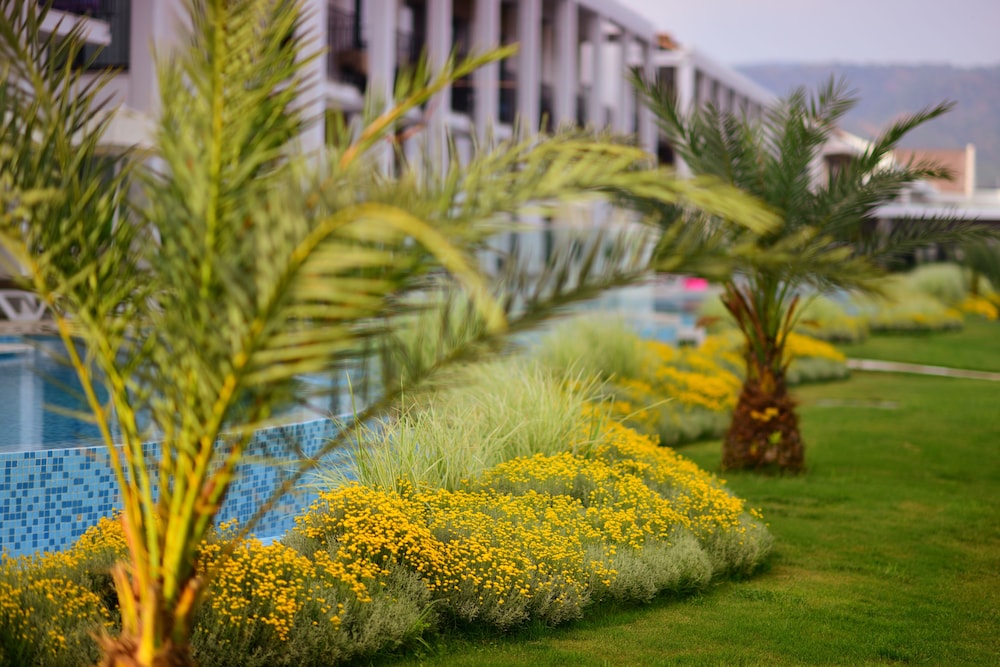 Jiva Beach Resort 73/81