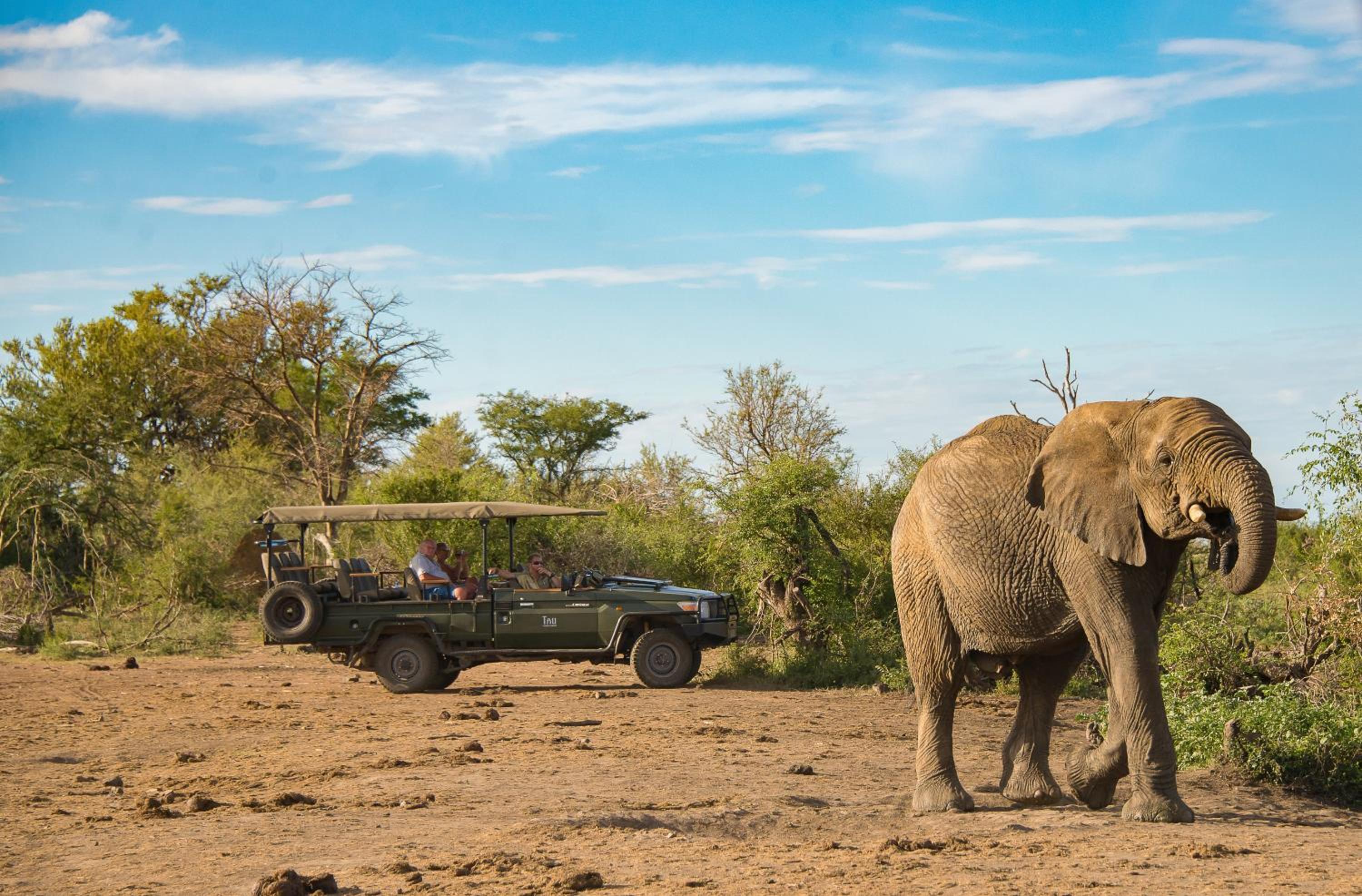 Tau Game Lodge 46/56