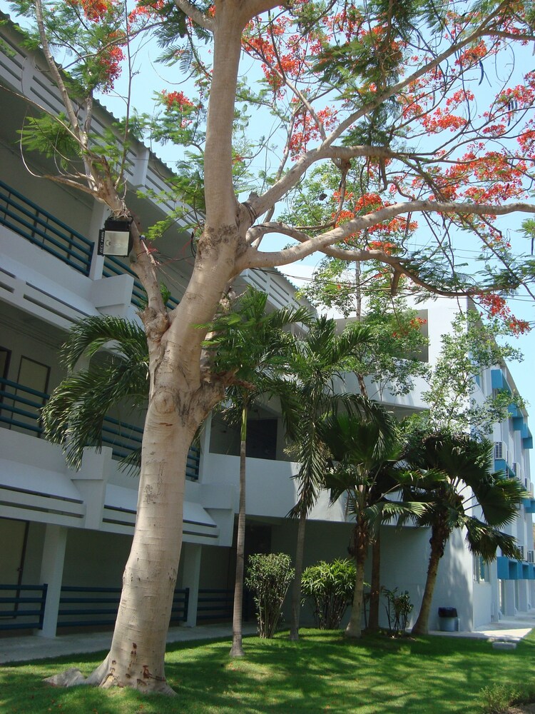 Addera Residence Hua Hin 8/37