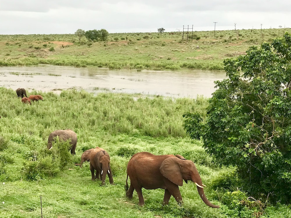 Elephant Walk Retreat 33/50