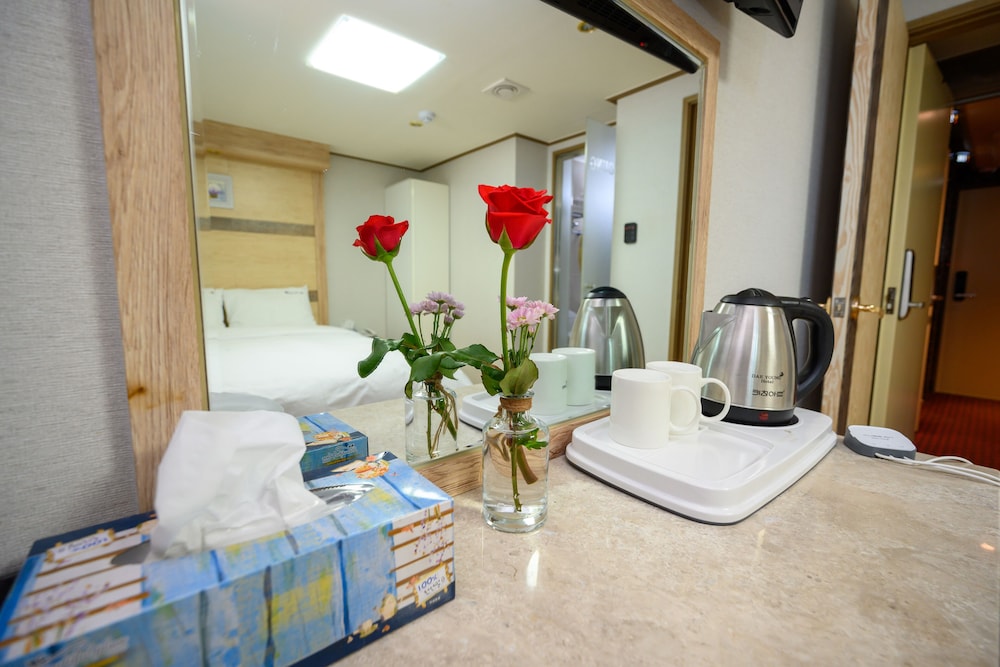 Daeyoung Hotel Seoul 51/66