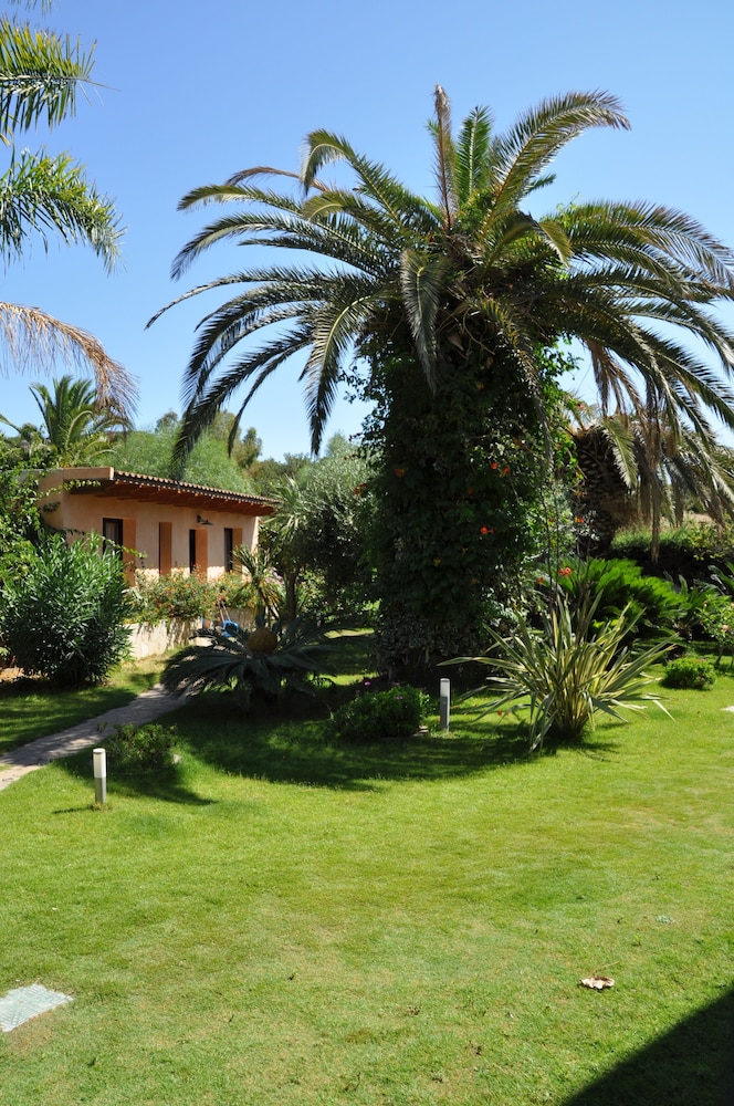 Palm Village 50/69