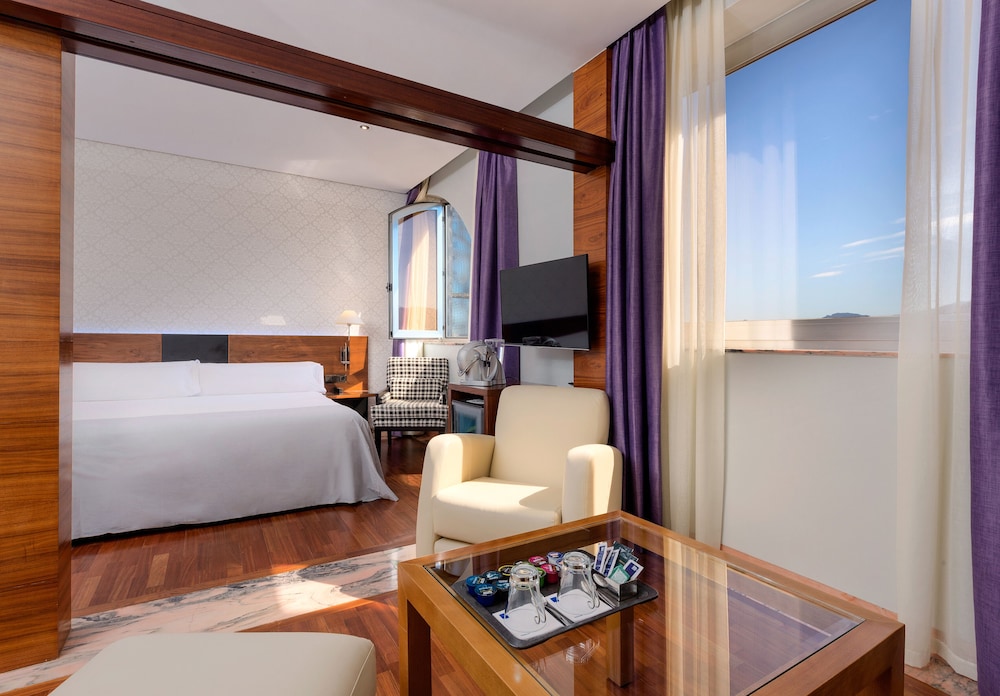 Hotel Murcia Rincon de Pepe Affiliated by Melia (ex Tryp Murcia) 31/73