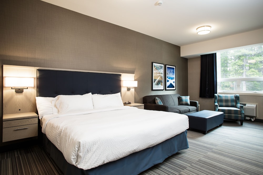 ROOM, KING BED, SOFA